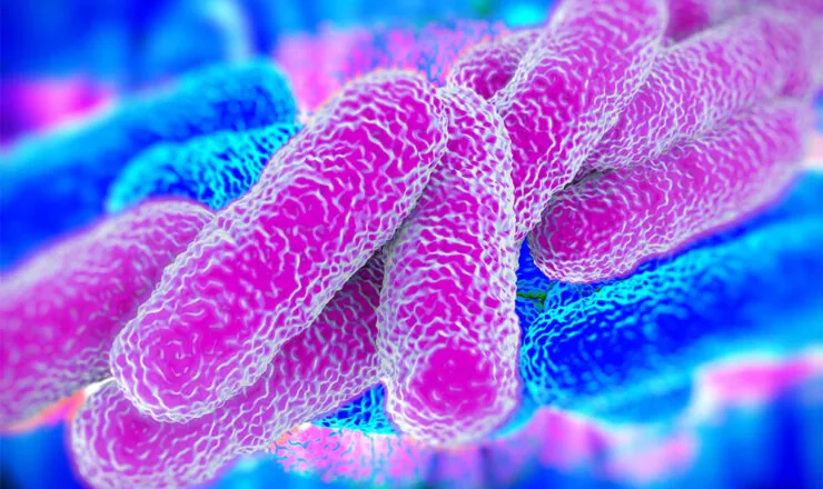 Legionella Risk Assessment