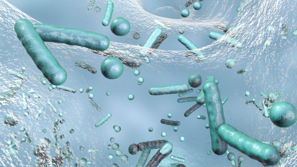 Legionella Regulations & Duty Holder Responsibilities
