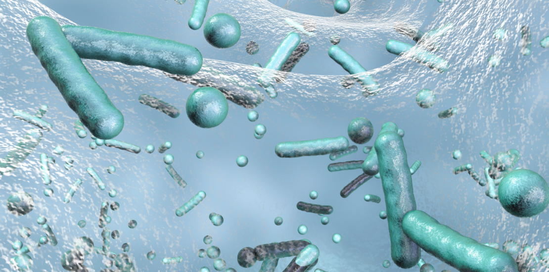 Legionella Regulations & Duty Holder Responsibilities